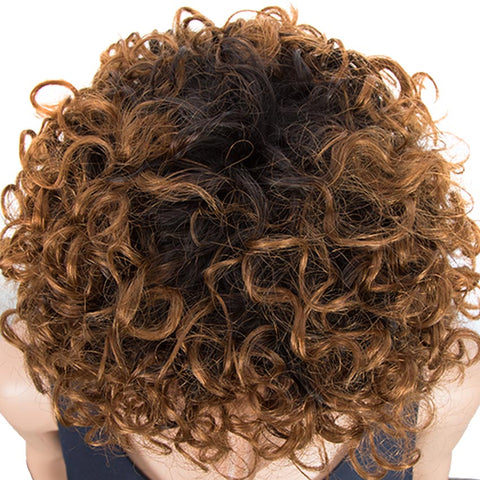 Image of Rebecca Fashion Short Pixie Cute Wigs Curly Human Hair Ombre Wigs