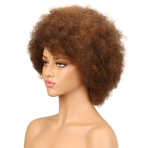 Rebecca Fashion Brown Human Hair Curly Afro Wig