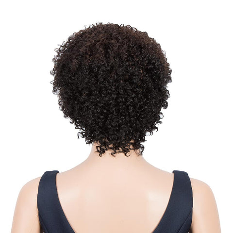 Rebecca Fashion Short Pixie Wigs 100% Human Hair Kinky Curly Wig For Black Women