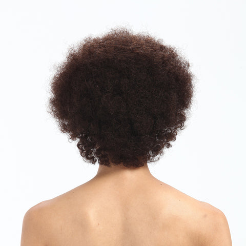 Rebecca Fashion Short Afro Kinky Curly Human Hair Wigs For Black Women