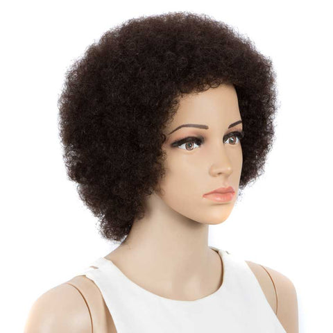 Image of Rebecca Fashion Short Afro Kinky Curly Human Hair Wigs For Black Women