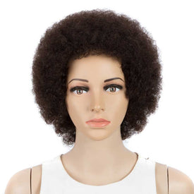 Rebecca Fashion Short Afro Kinky Curly Human Hair Wigs For Black Women